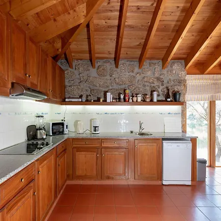 Mansion Amidst Vineyards Of Dao Valley, Cleaning Included Holiday home *