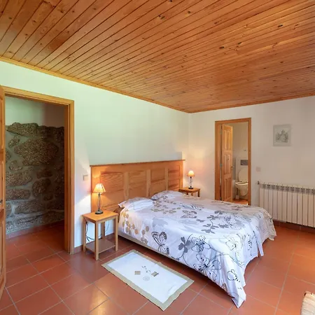 Mansion Amidst Vineyards Of Dao Valley, Cleaning Included Holiday home Treixedo