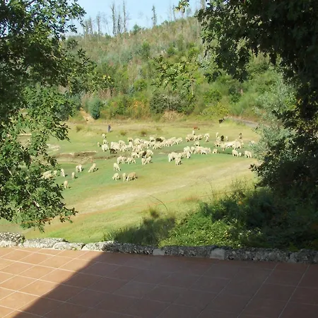 Mansion In Dao Valley By River Beach, Cleaning Included * Treixedo