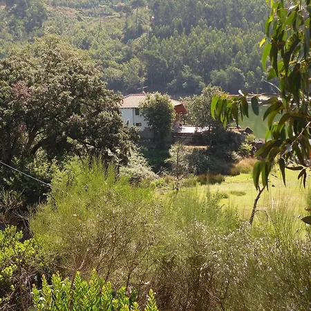 Mansion Amidst Vineyards Of Dao Valley, Cleaning Included Holiday home *